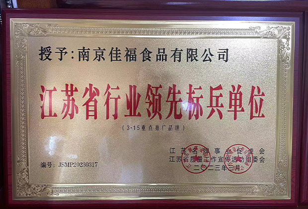 江苏省行业领先标兵单位