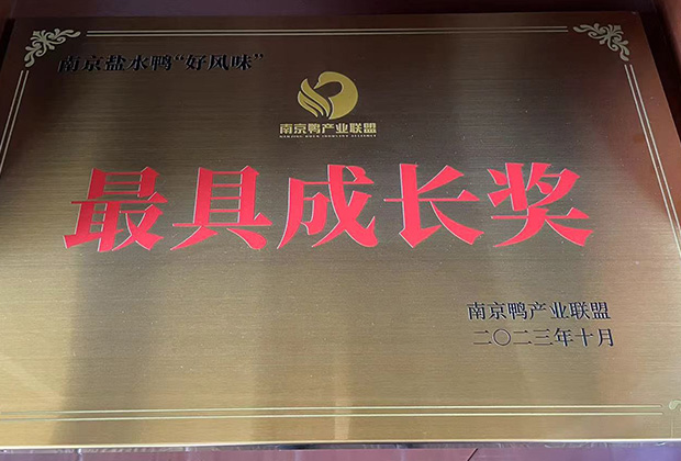 南京鸭产业联盟最具成长奖